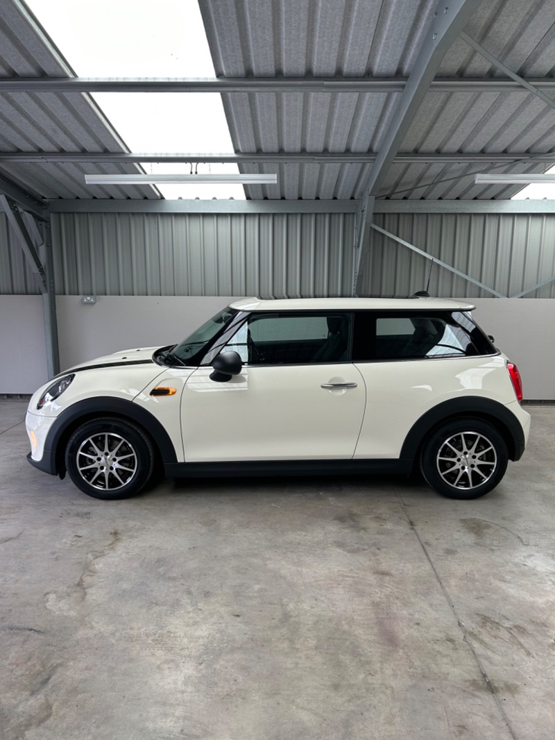 MINI MINI